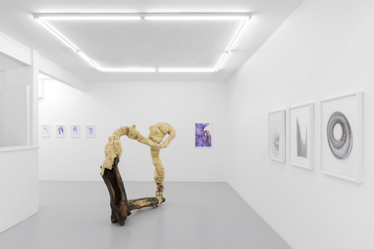 tatiana wolska, exhibition view of the solo show meta-morphosis at irène laub gallery, 2022